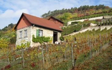 Weingut Dr. Hage